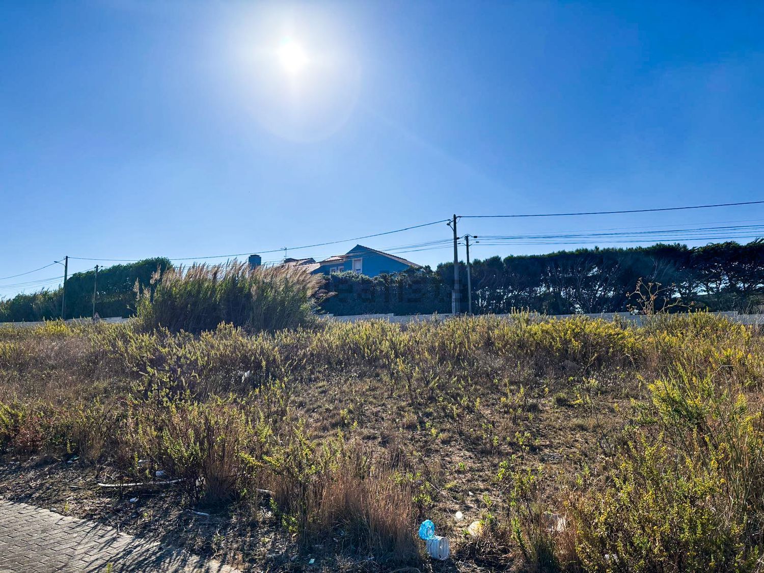 小楼房或独栋别墅出售在Rua Central - 花园