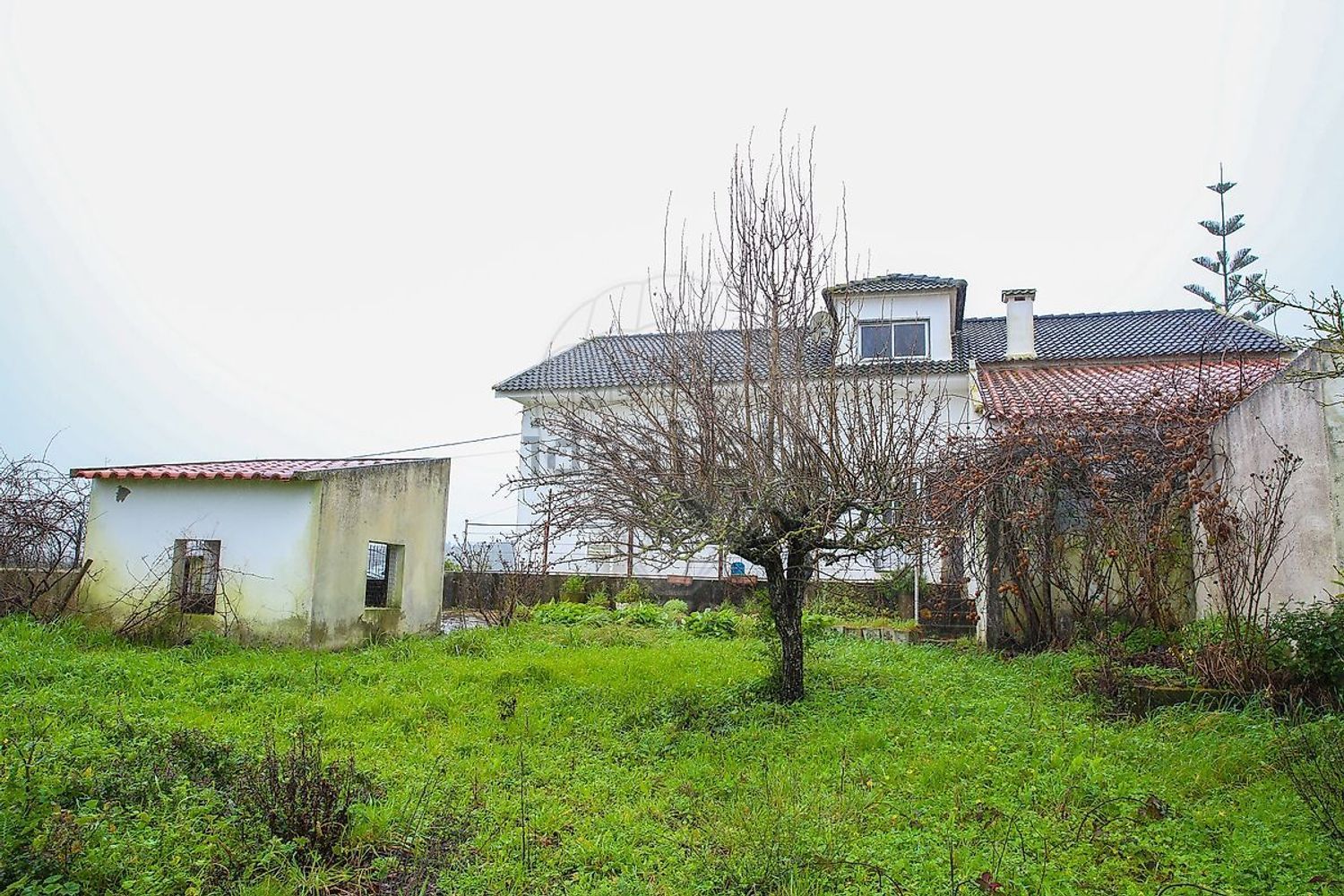 小楼房或独栋别墅出售Azinhaga Areosa - 外立面