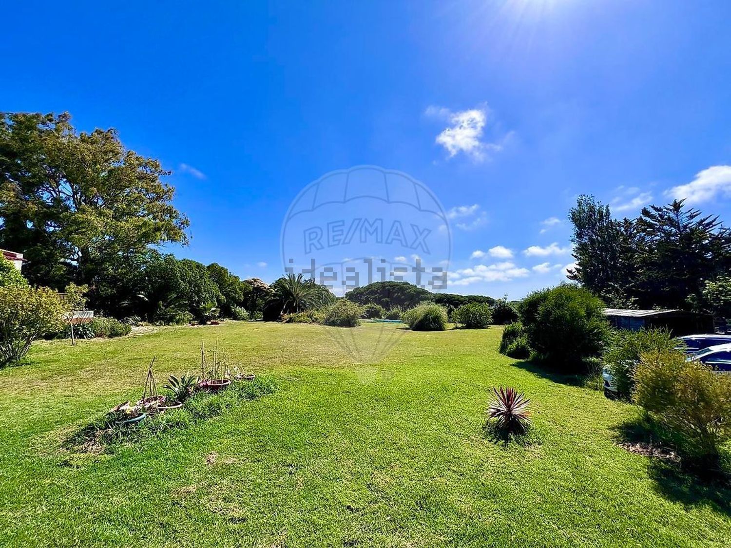 小楼房或独栋别墅出售在Rua Principal - 花园