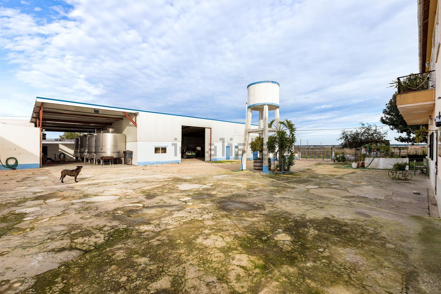 庄园出售在Rua Abel Ferreira, 46 - 外立面