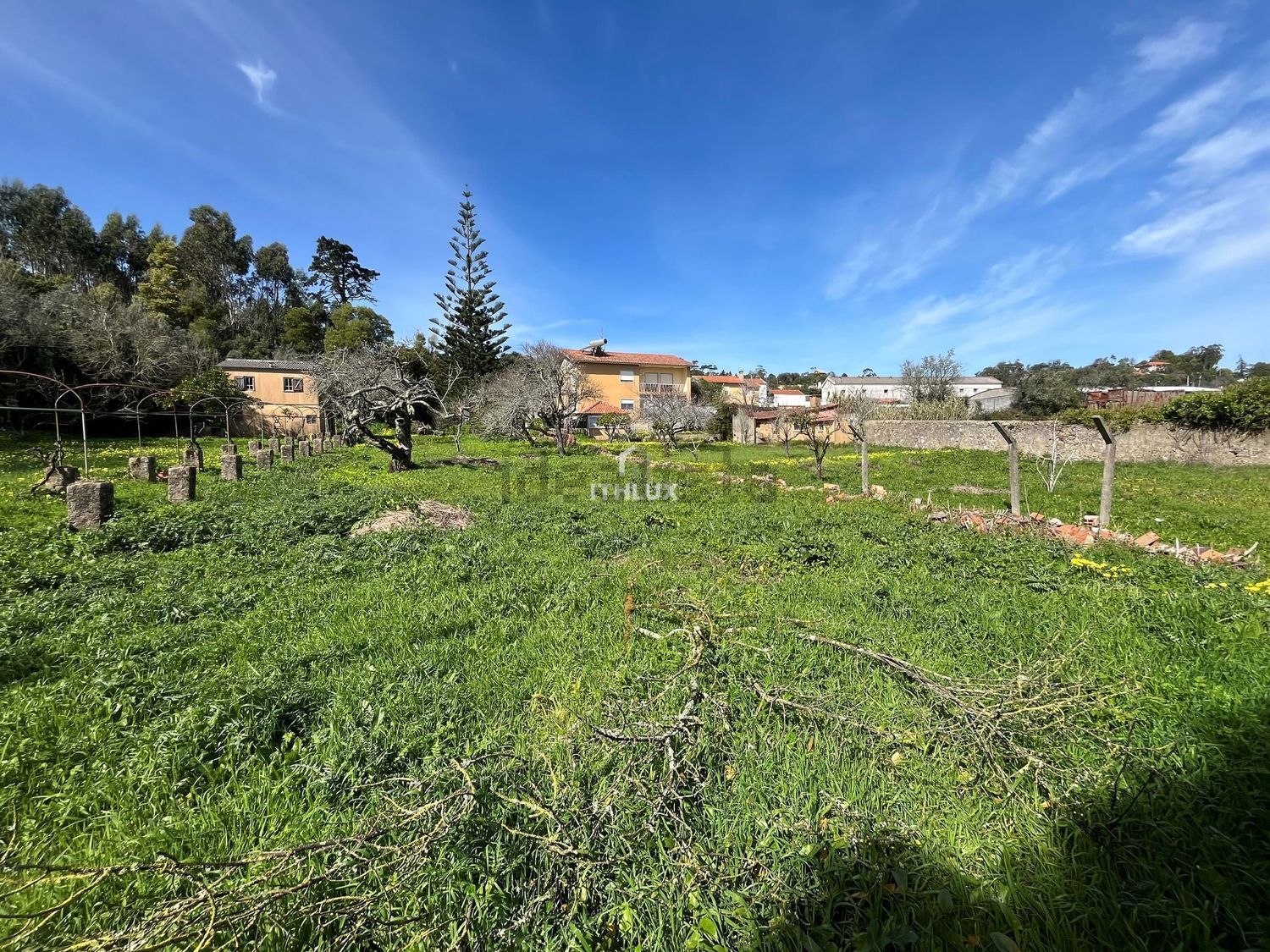 庄园出售在São Pedro de Penaferrim - 花园