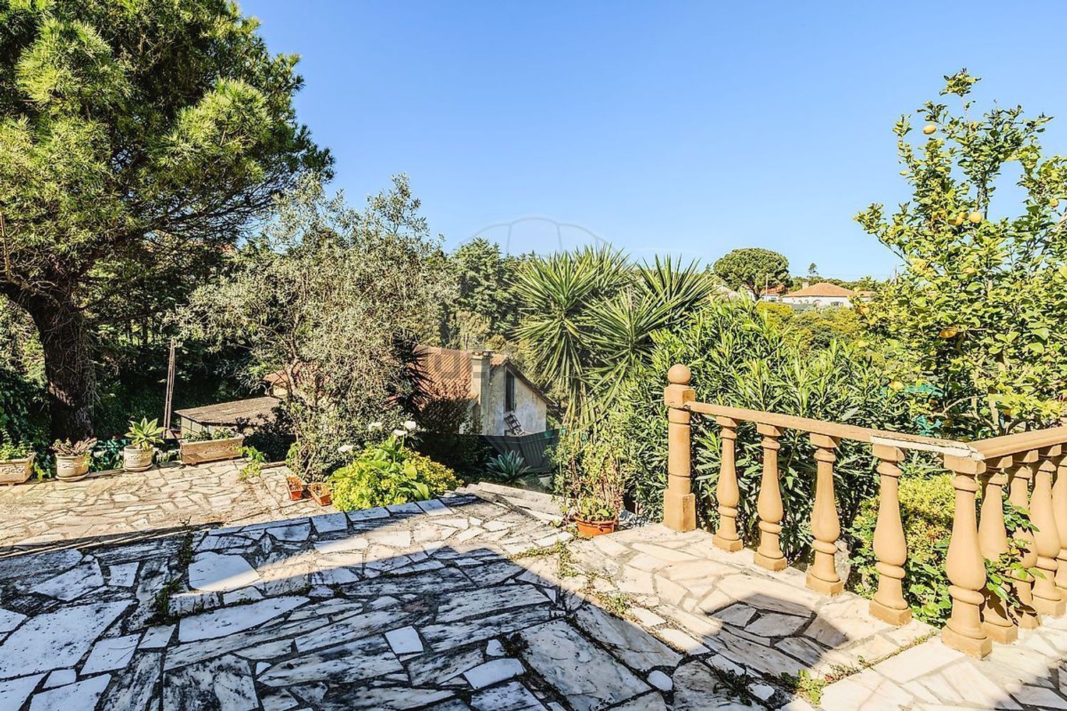 小楼房或独栋别墅出售在Rua do Rio Velho - 花园