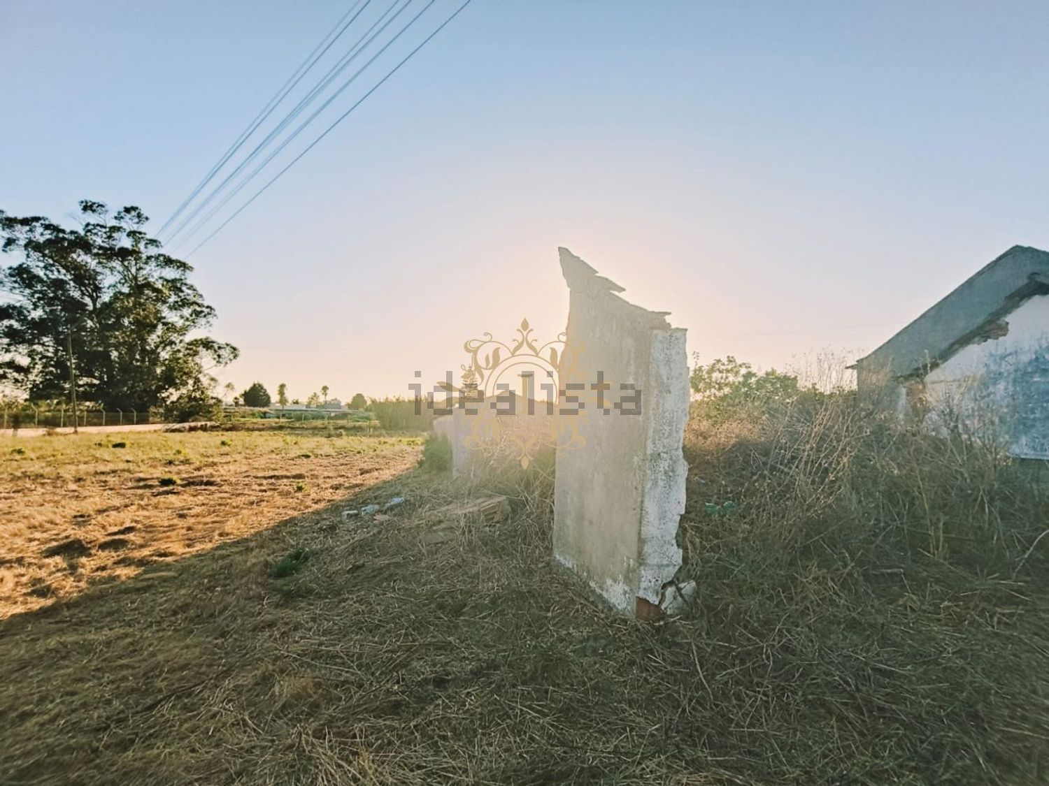 小楼房或独栋别墅出售在Poceirão e Marateca - 花园
