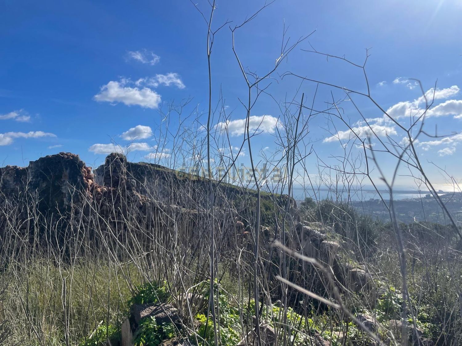 庄园出售Cm1052 s/n - 视线