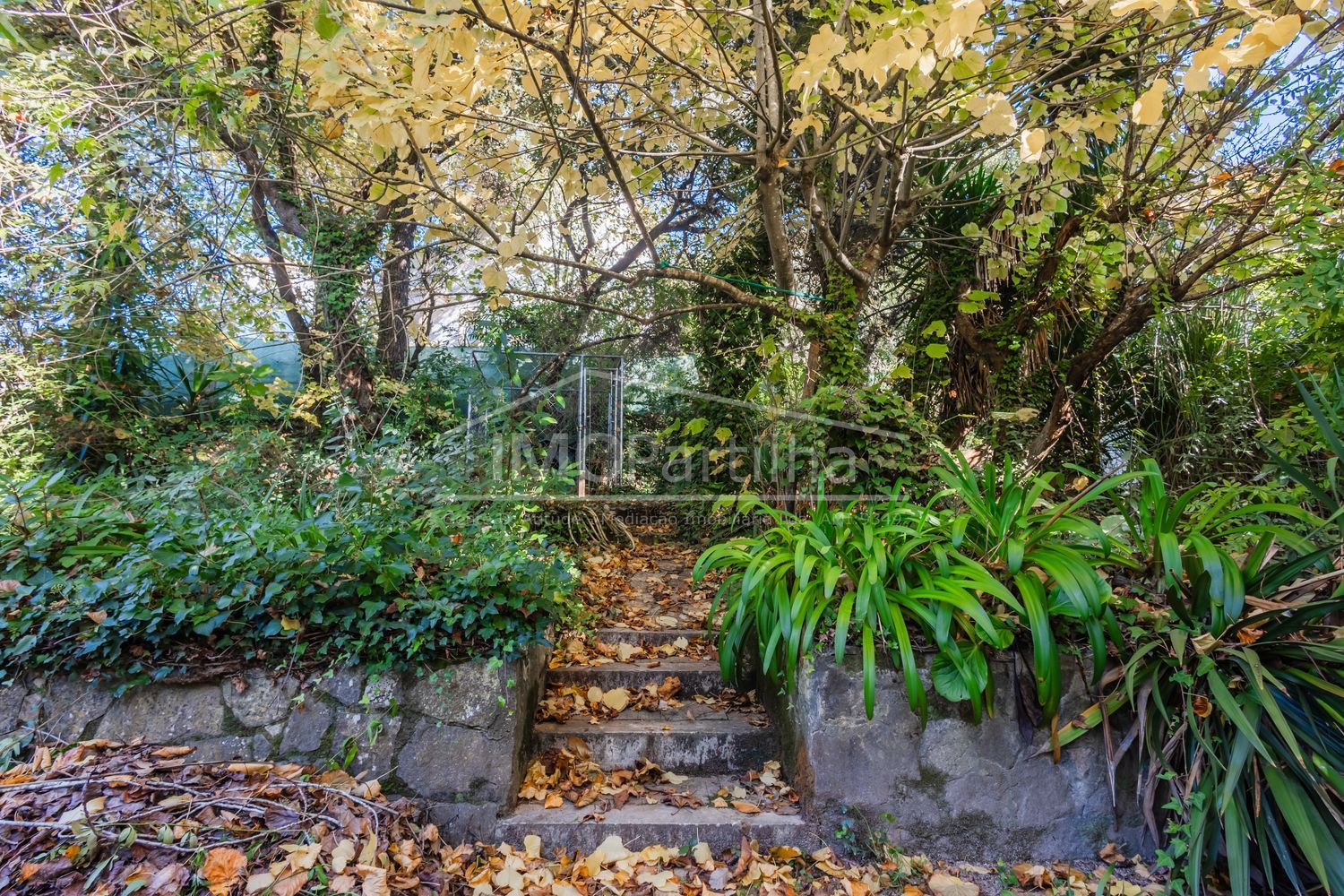 庄园出售在Alameda das Acácias - 花园