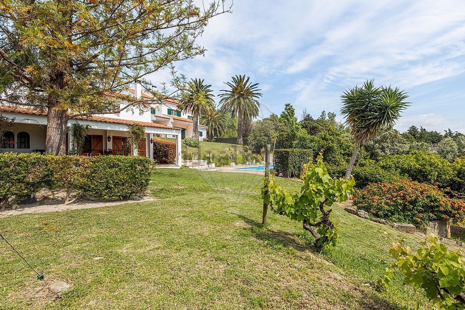 小楼房或独栋别墅出售Estr. da Serralheira de Baixo - 花园