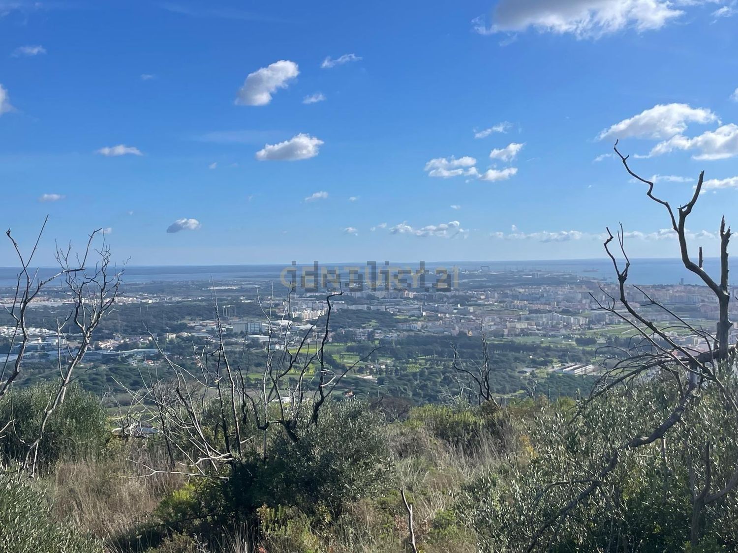 庄园出售Cm1052 s/n - 视线