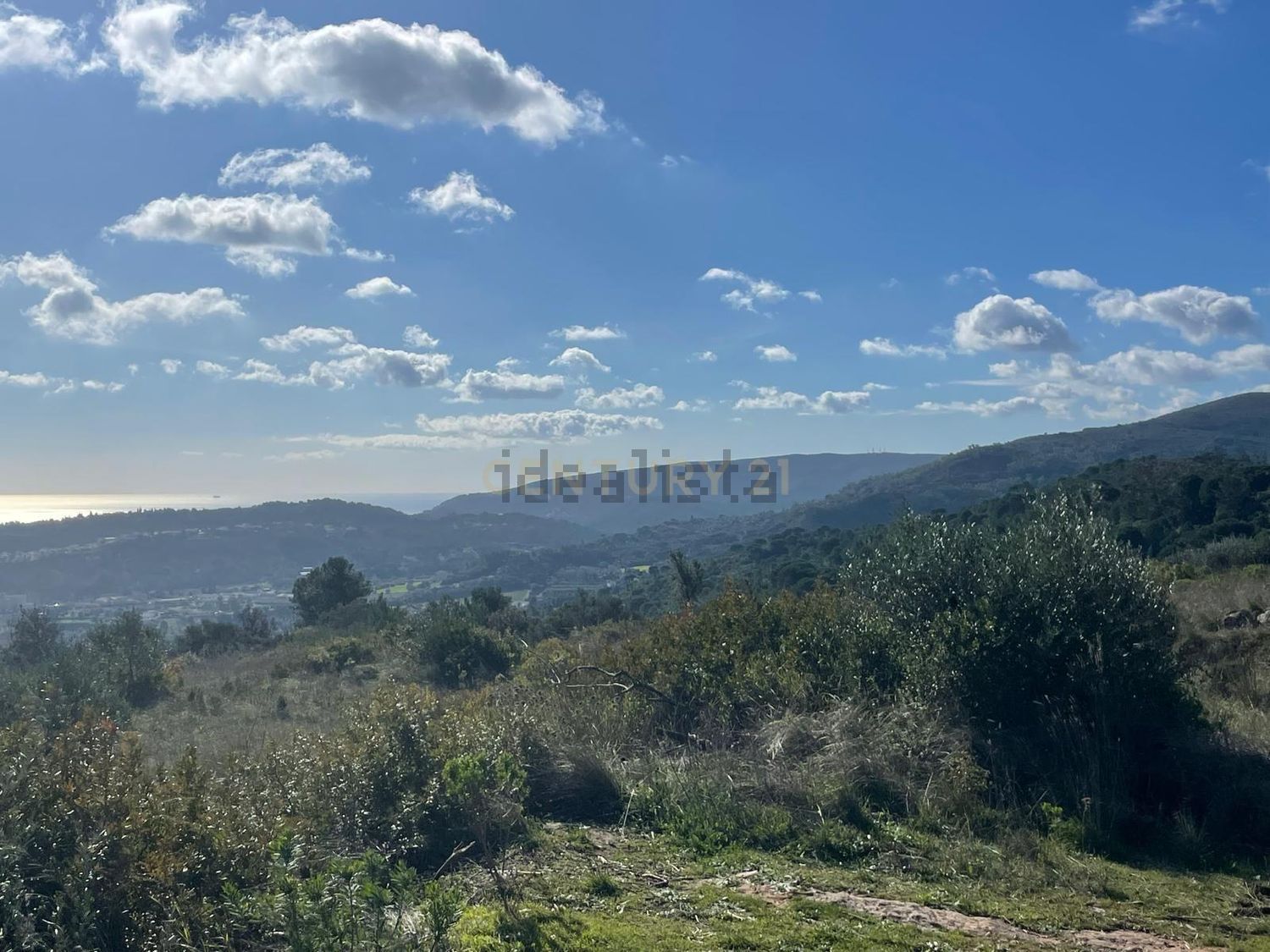 庄园出售Cm1052 s/n - 视线