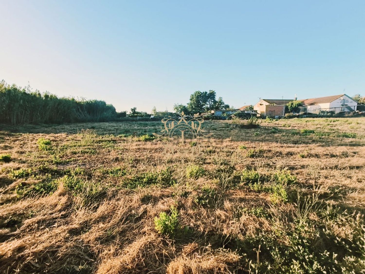 小楼房或独栋别墅出售在Poceirão e Marateca - 花园