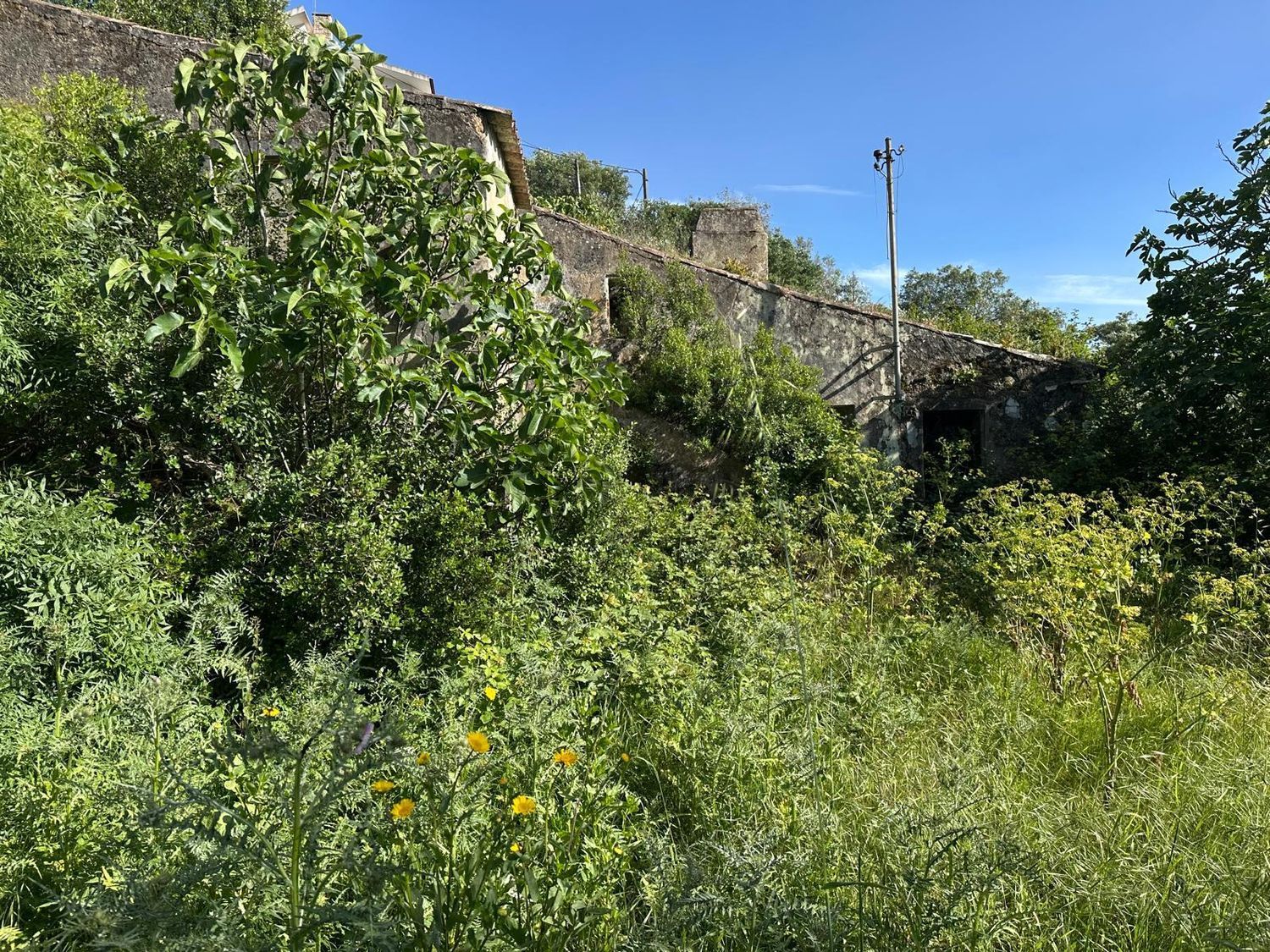 小楼房或独栋别墅出售Lousa, Loures s/n - 视线