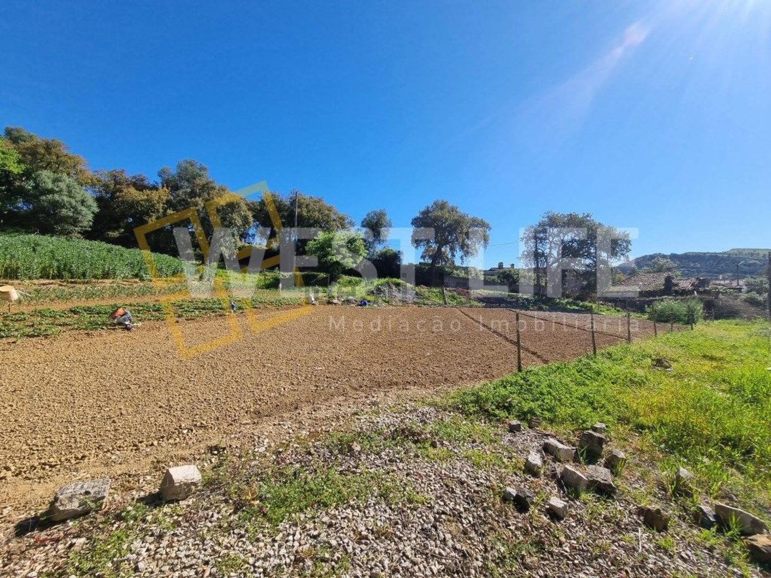 小楼房或独栋别墅出售在Avenida Catarina Eufémia - 花园