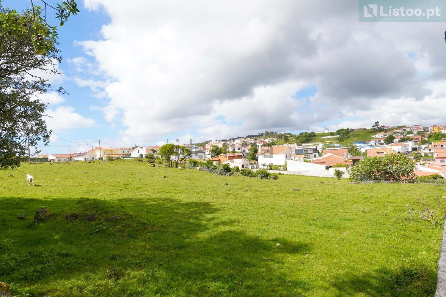 公寓 t3出售在Rua da Urmeirada - 花园