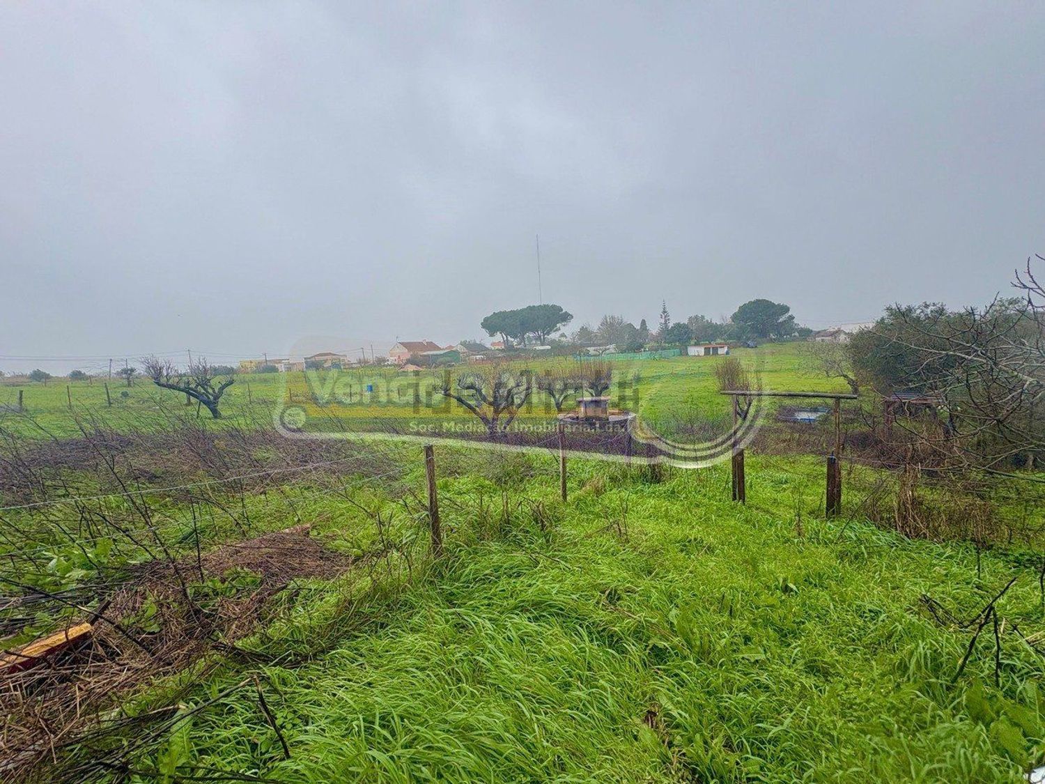 庄园出售在Vila Franca de Xira - 花园