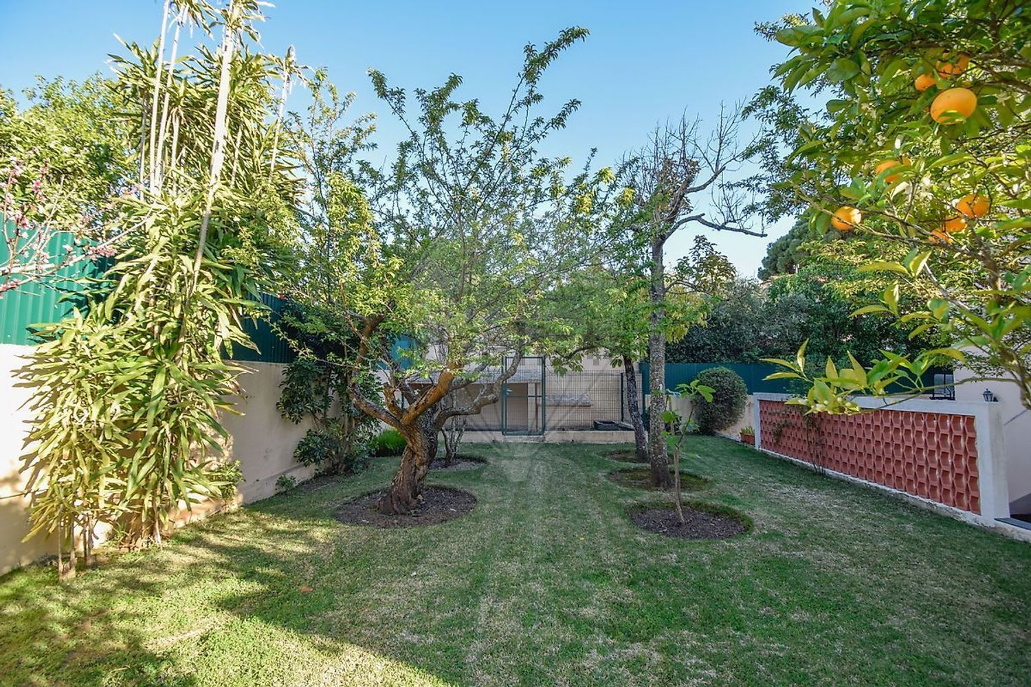 小楼房或独栋别墅出售在Rua da Quinta das Palmeiras - 花园