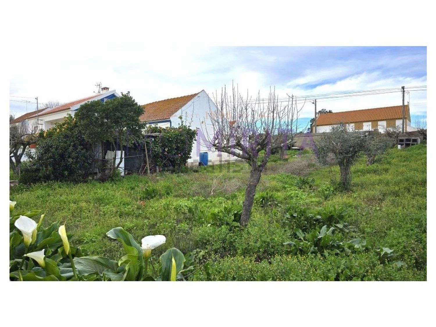 小楼房或独栋别墅出售在Rua do Chafariz - 花园