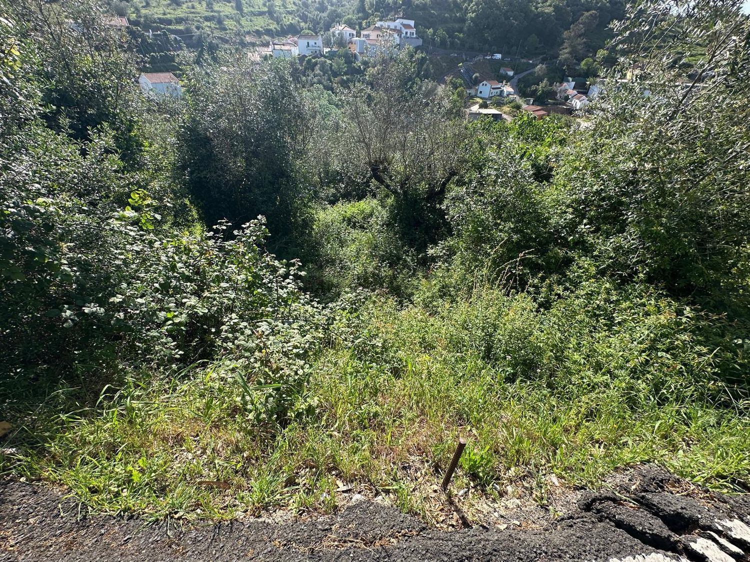 小楼房或独栋别墅出售Lousa, Loures s/n - 视线