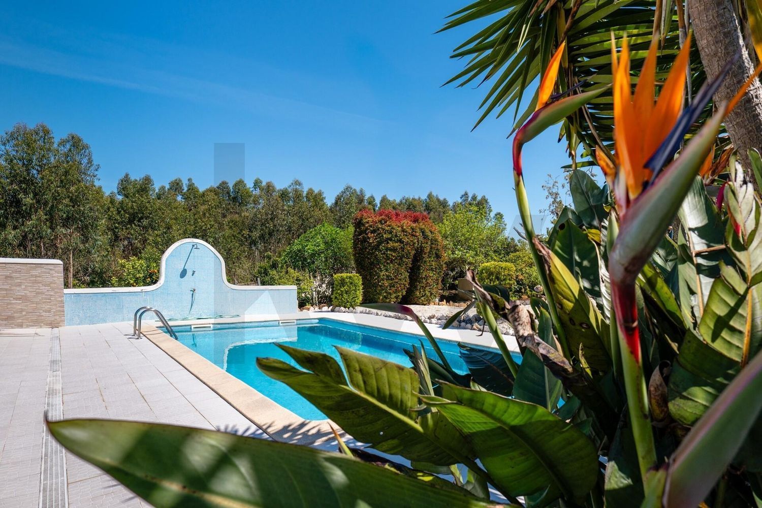 庄园出售在Malveira e São Miguel de Alcainça - 游泳池