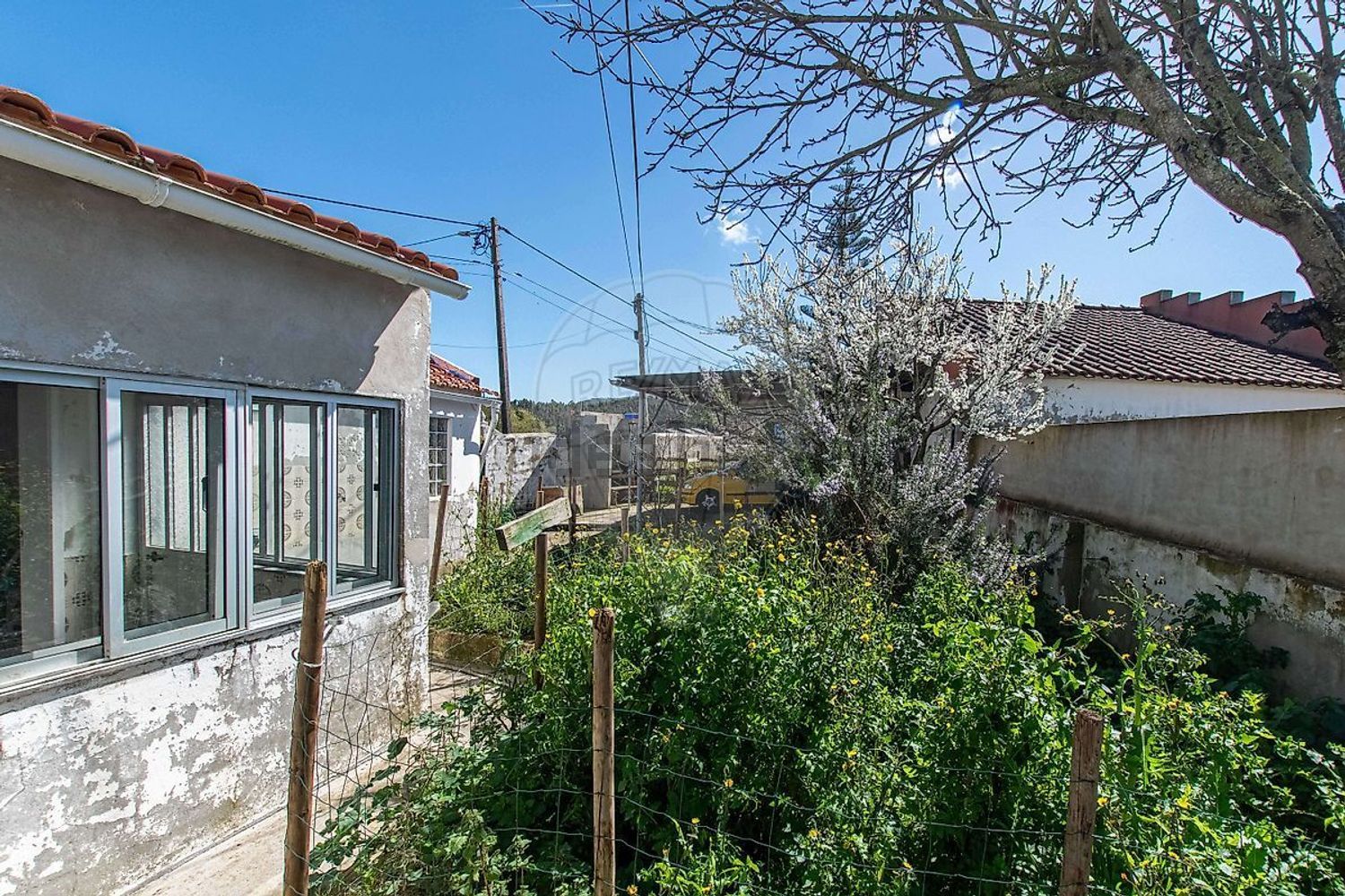 小楼房或独栋别墅出售N115-1 - 外立面