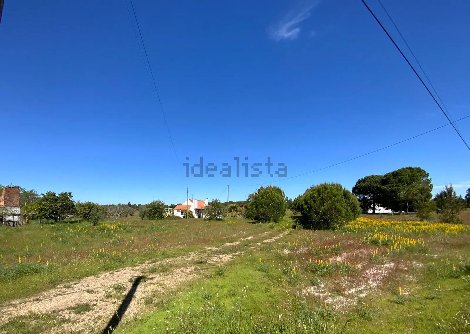 小楼房或独栋别墅出售Grandola - 花园