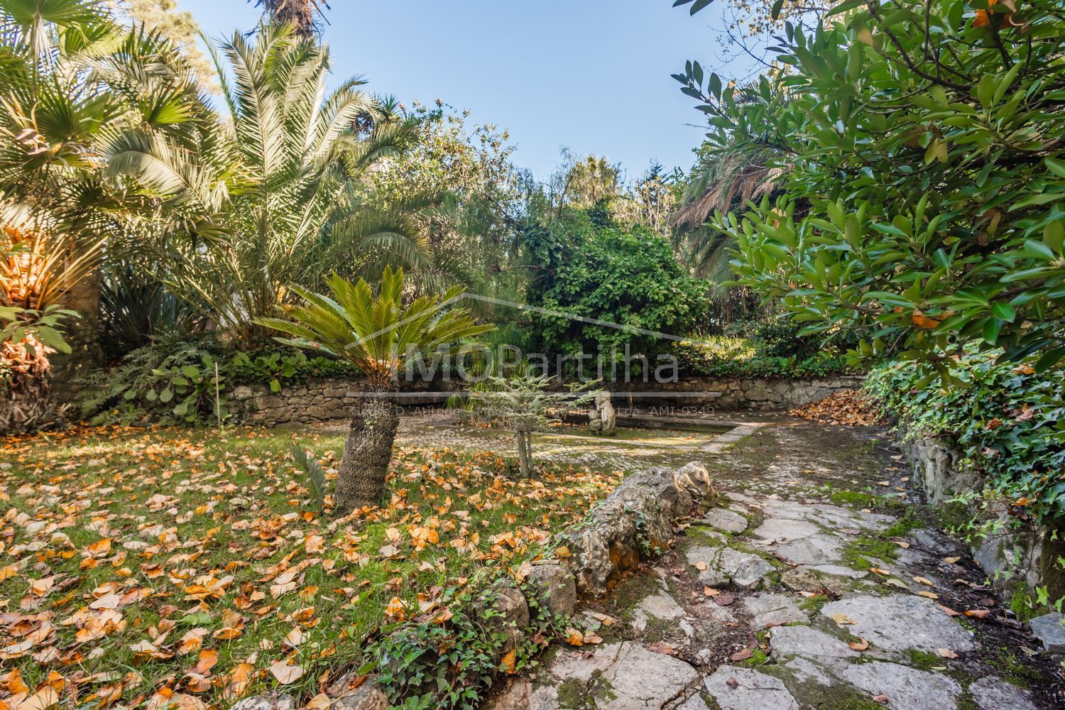 庄园出售在Alameda das Acácias - 花园