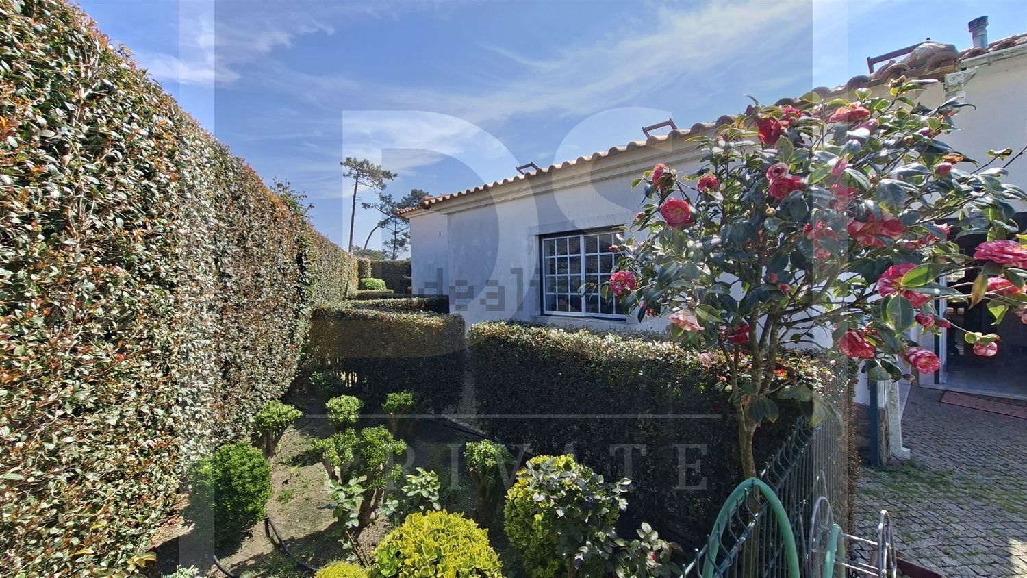 小楼房或独栋别墅出售在Santo Isidoro - 花园