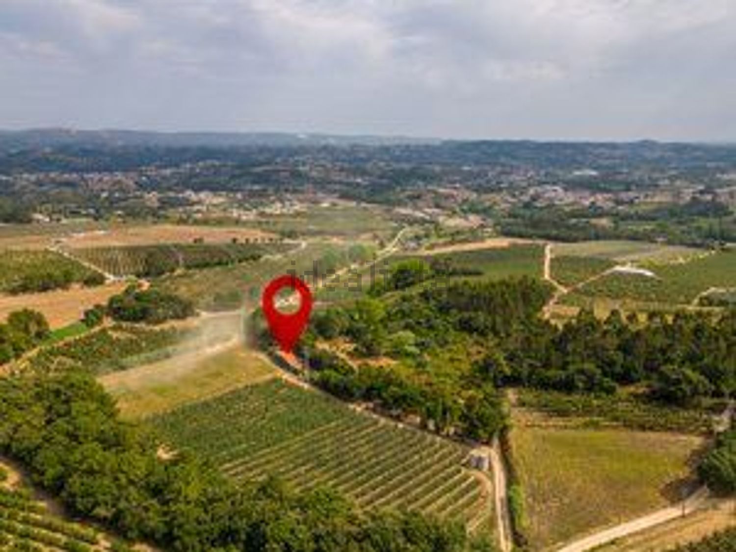 庄园出售Vinharias, 2460, Cela, Leiria, Portugal s/n - 视线