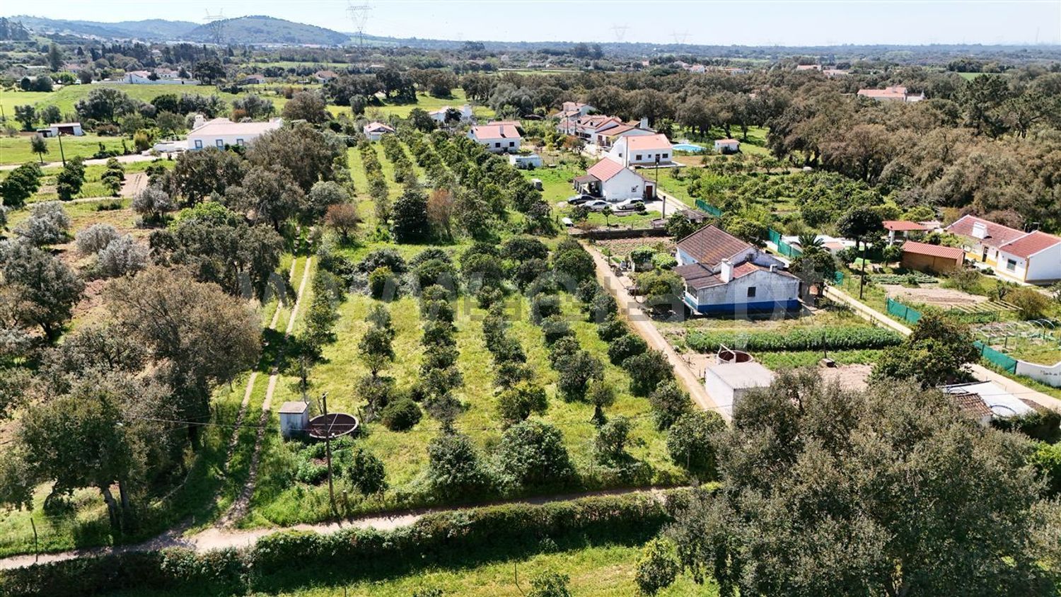 庄园出售在Santiago do Cacém - Santa Cruz - São Bartolomeu da Serra - 照片