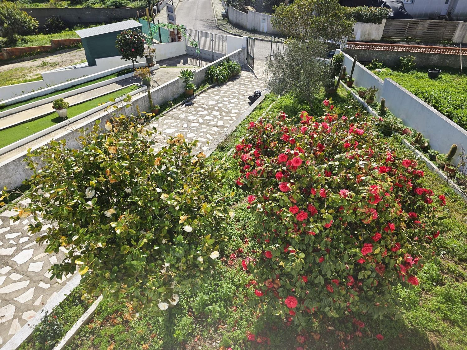 小楼房或独栋别墅出售在Bairro novo, 13 - 花园