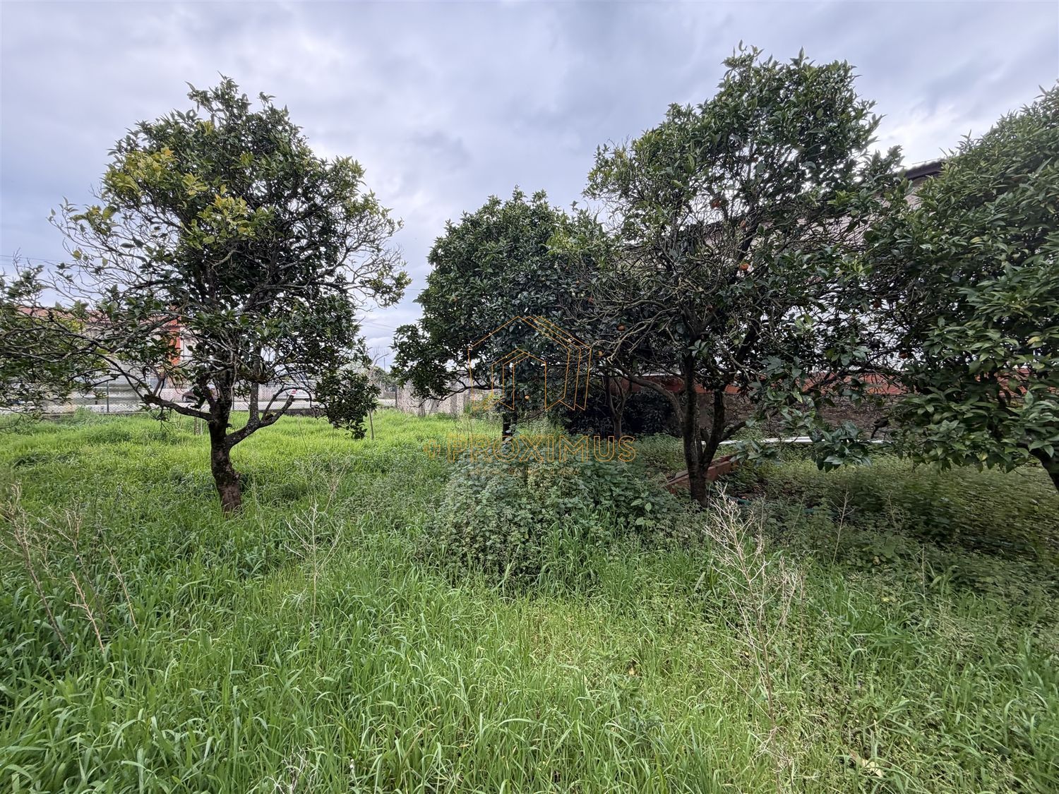小楼房或独栋别墅出售在Tocha - 花园