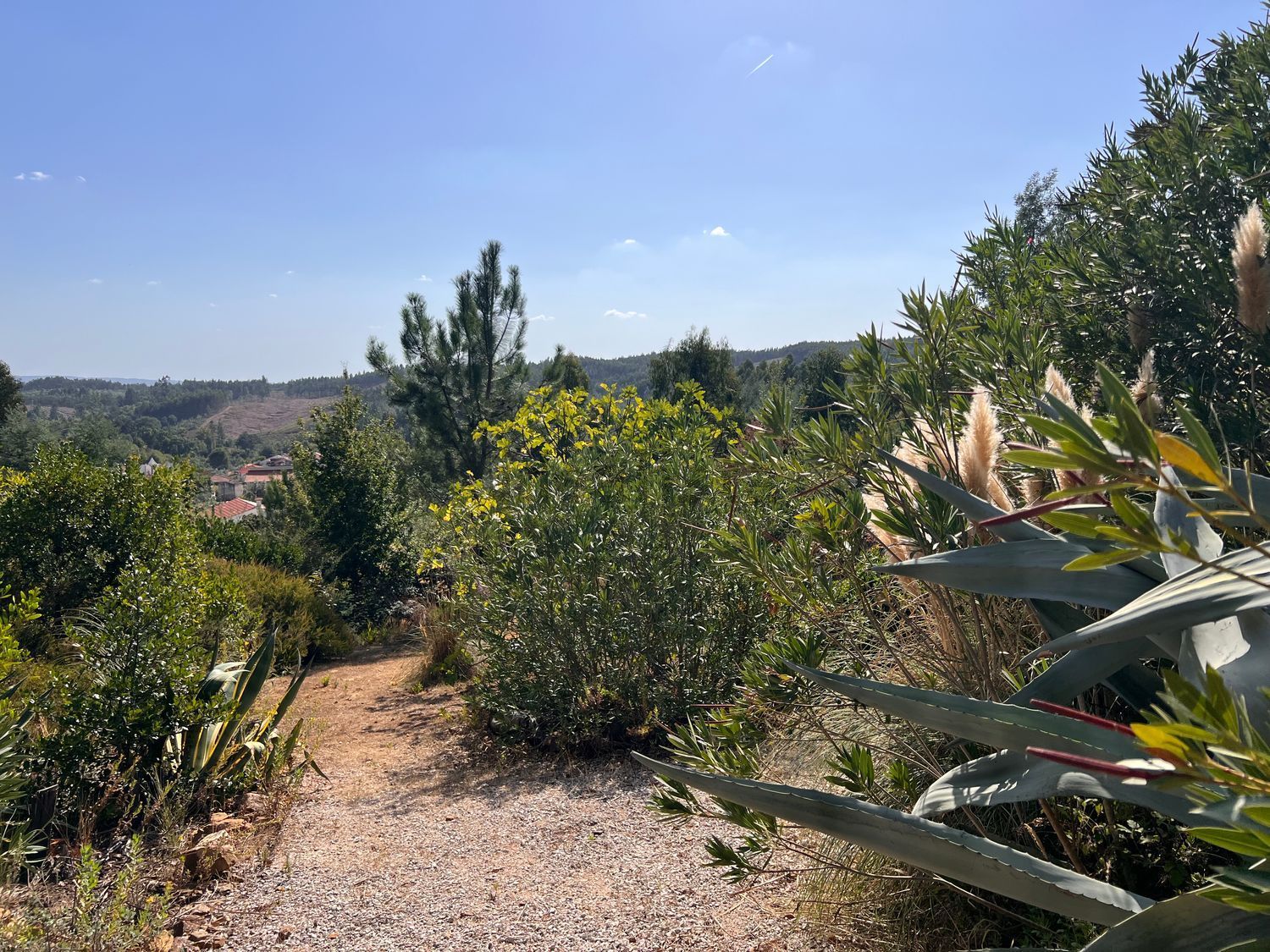 小楼房或独栋别墅出售在Rua do Vale - 花园