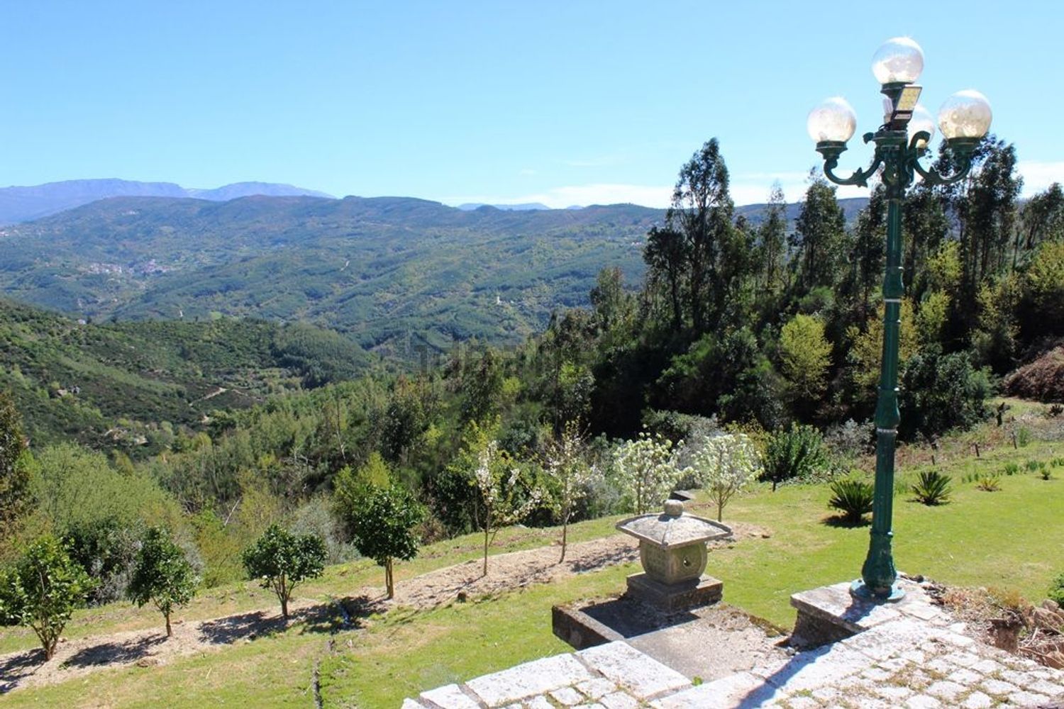 小楼房或独栋别墅出售Quinta do chão cimeiro - 花园