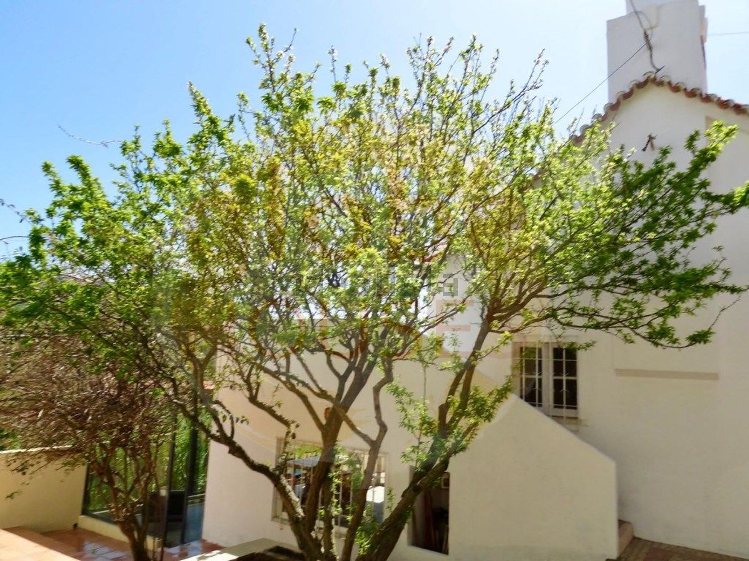 小楼房或独栋别墅出售在Santiago (Sesimbra) - 外立面