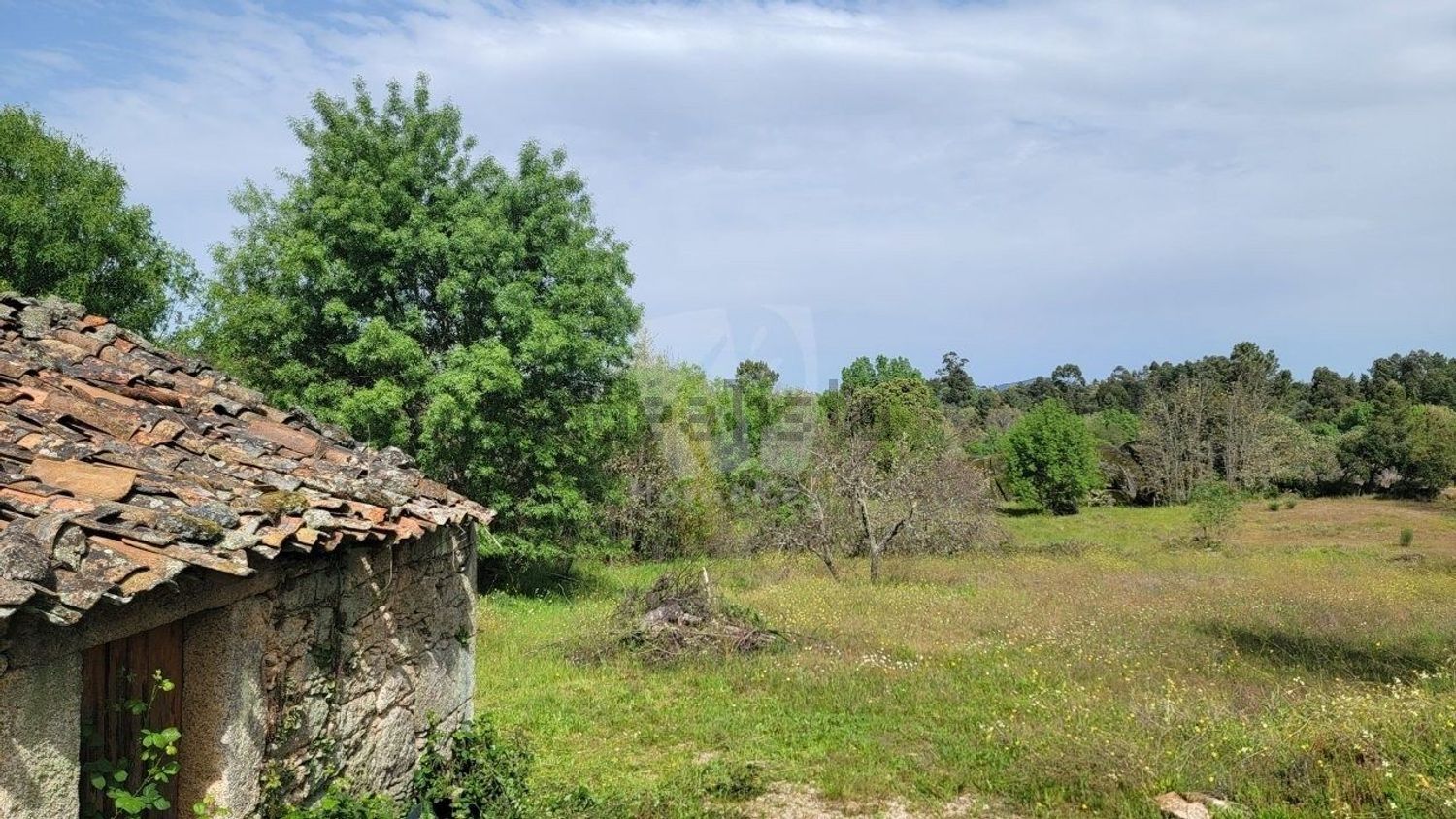 庄园出售在Aldeia do Bispo - Águas - Aldeia de João Pires - 花园
