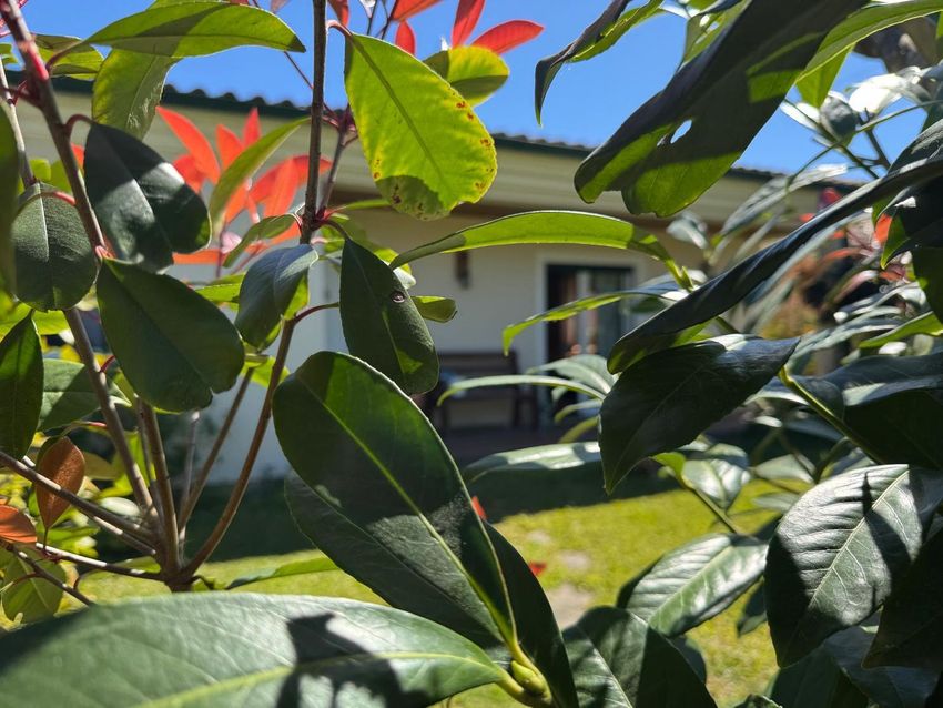 小楼房或独栋别墅出售在Oiã