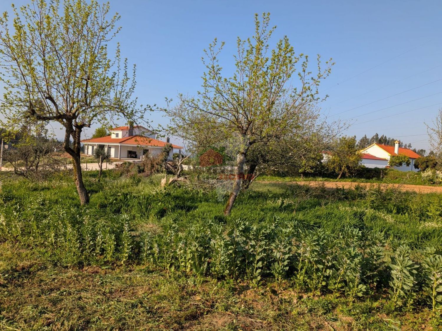 小楼房或独栋别墅出售在Cernache do Bonjardim - Nesperal - Palhais - 花园