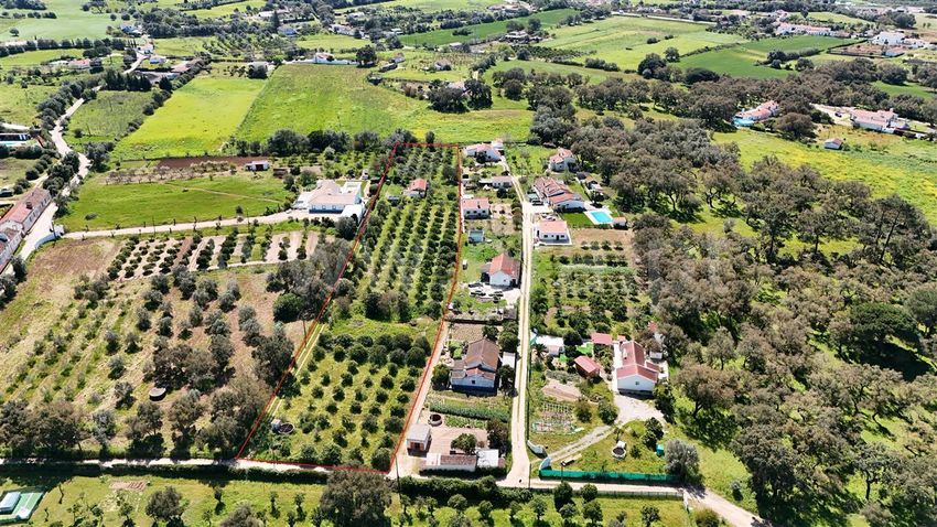 庄园出售在Santiago do Cacém - Santa Cruz - São Bartolomeu da Serra