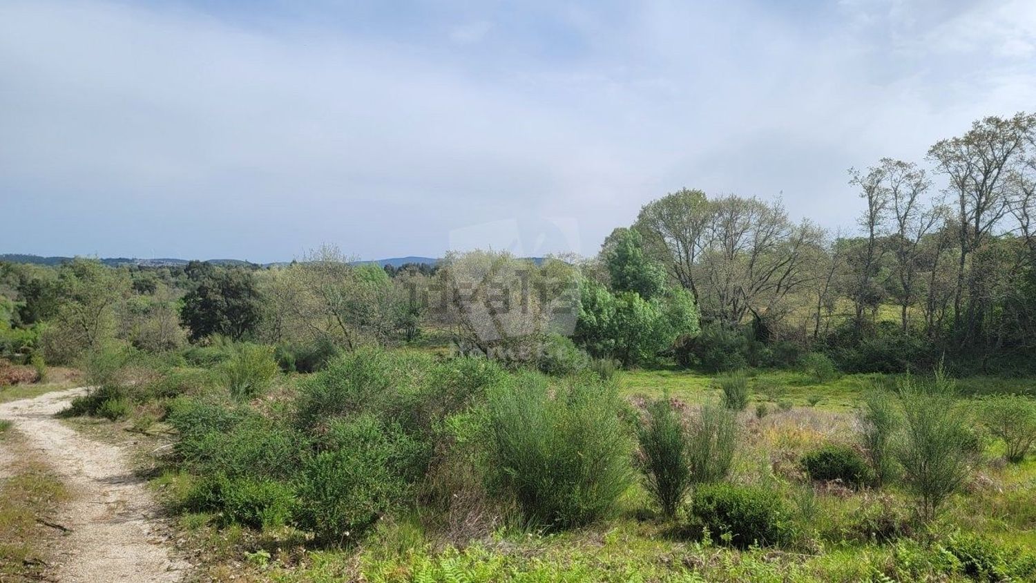 庄园出售在Aldeia do Bispo - Águas - Aldeia de João Pires - 花园