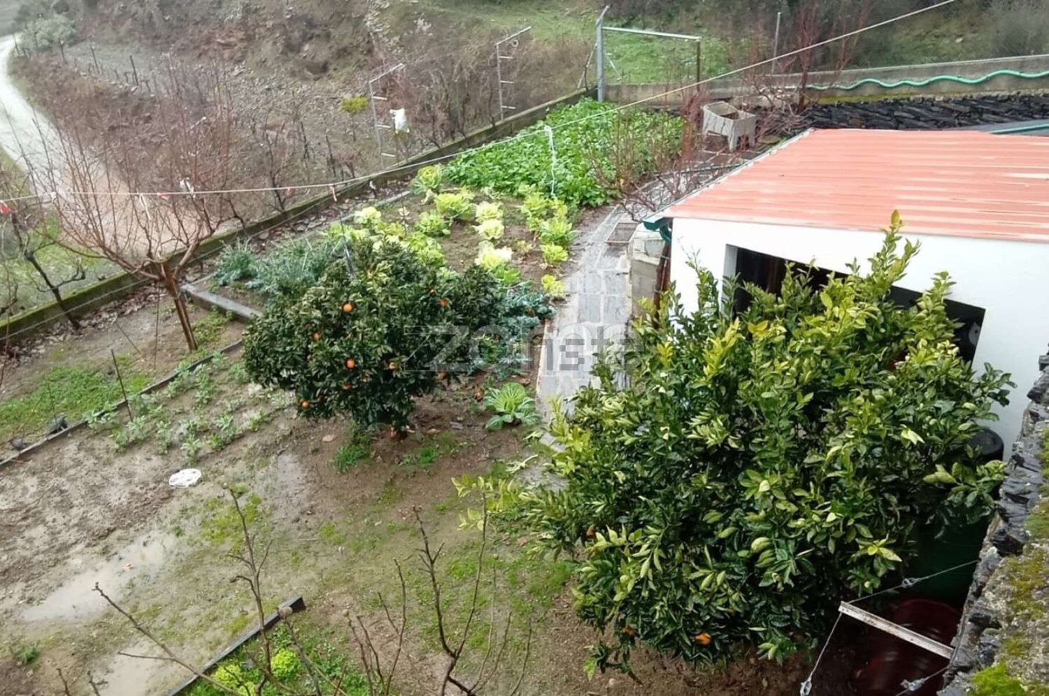 小楼房或独栋别墅出售在Rua Engenheiro Eugénio Nobre, 56 - 花园