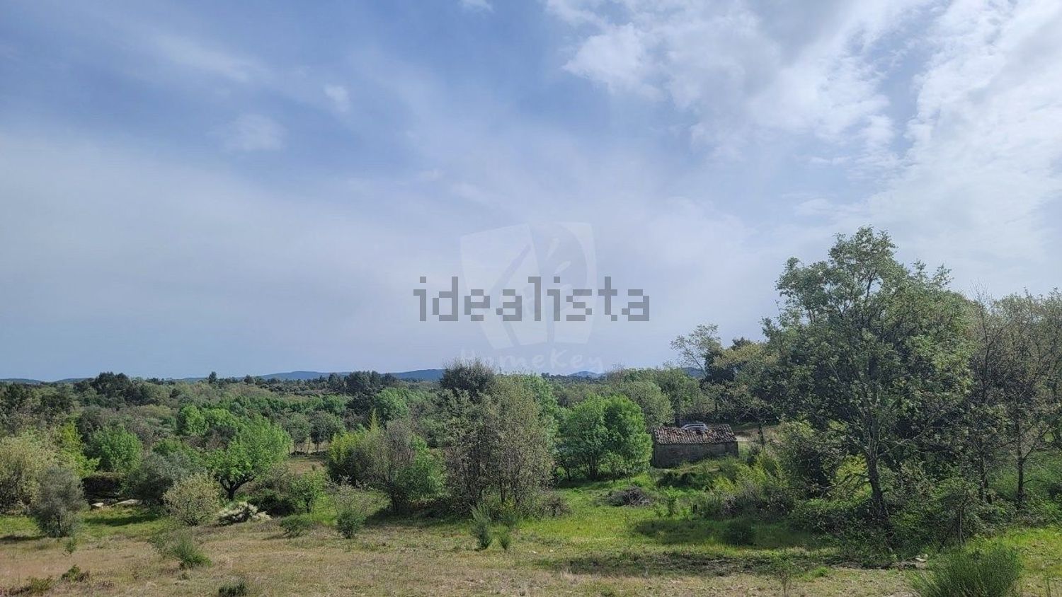 庄园出售在Aldeia do Bispo - Águas - Aldeia de João Pires - 花园