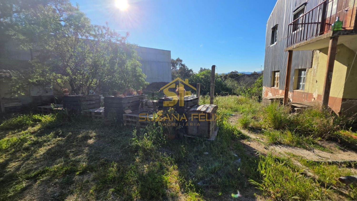 庄园出售在Castelo Branco - 花园