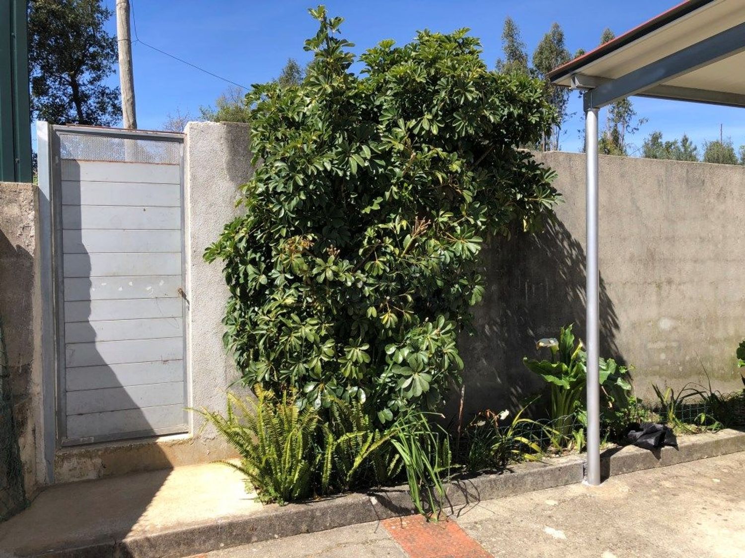 小楼房或独栋别墅出售在Rua do Carameleiro - 花园