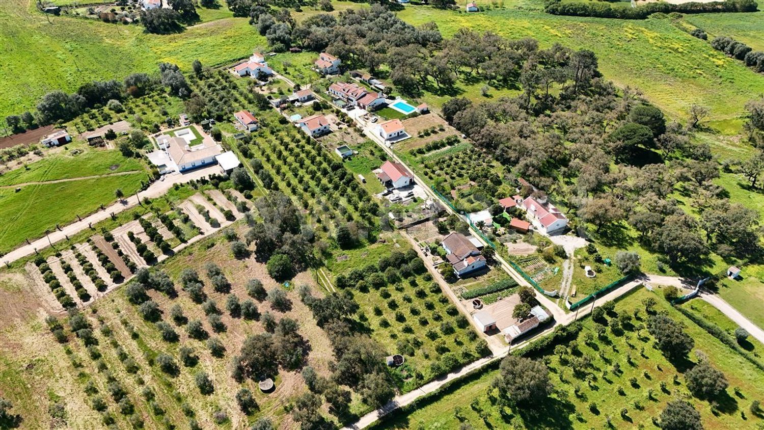 庄园出售在Santiago do Cacém - Santa Cruz - São Bartolomeu da Serra - 照片