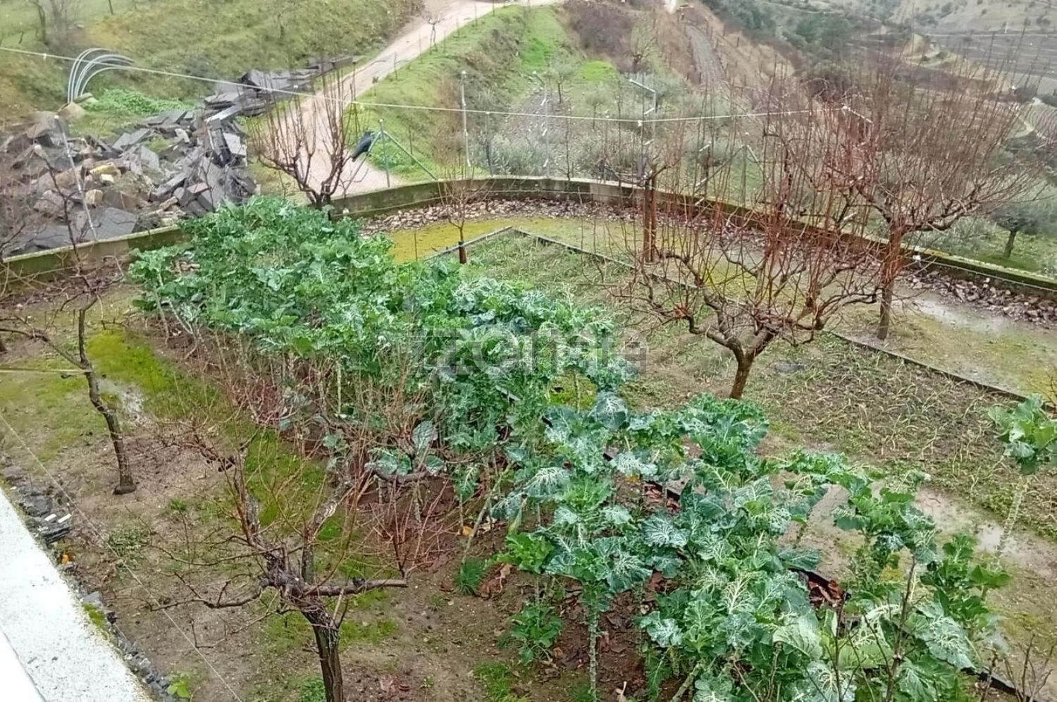 小楼房或独栋别墅出售在Rua Engenheiro Eugénio Nobre, 56 - 花园