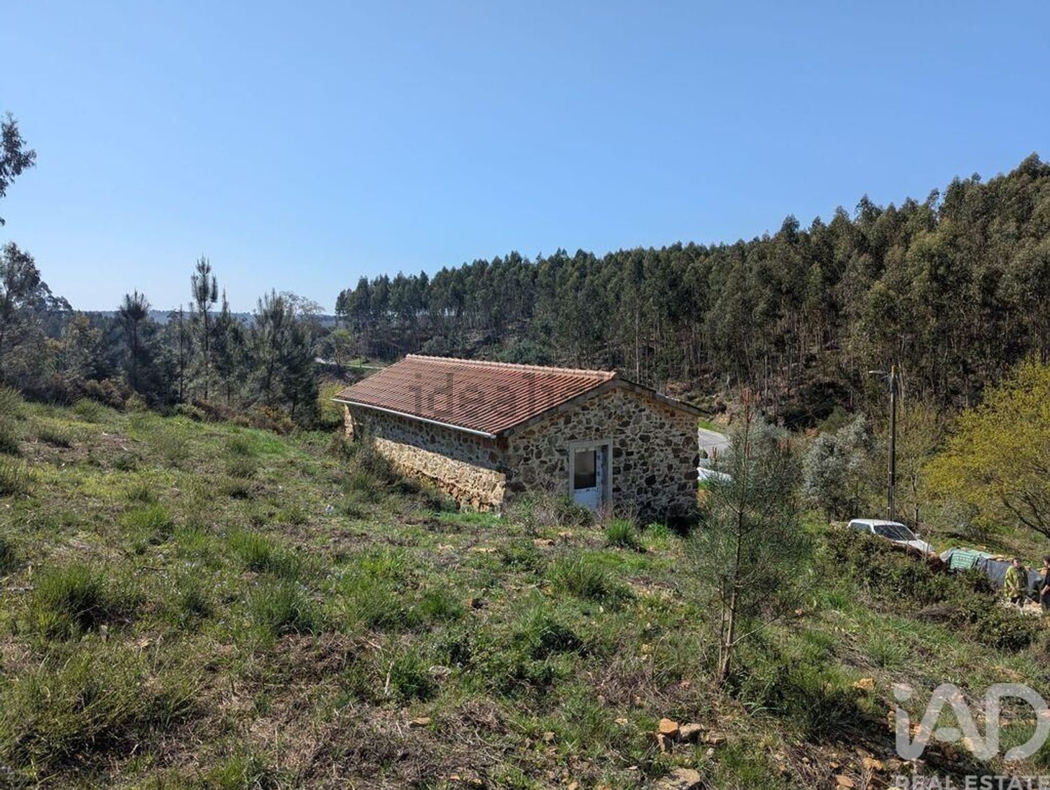 小楼房或独栋别墅出售在Figueiró dos Vinhos e Bairradas - 视线
