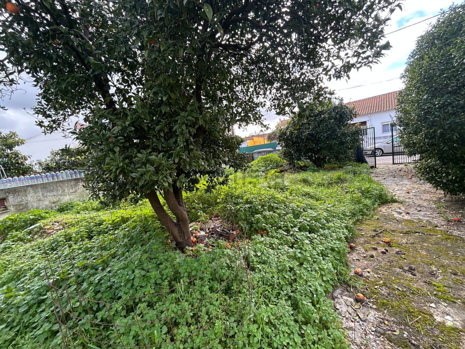 小楼房或独栋别墅出售在Rua Bento Gonçalves s/n - 花园