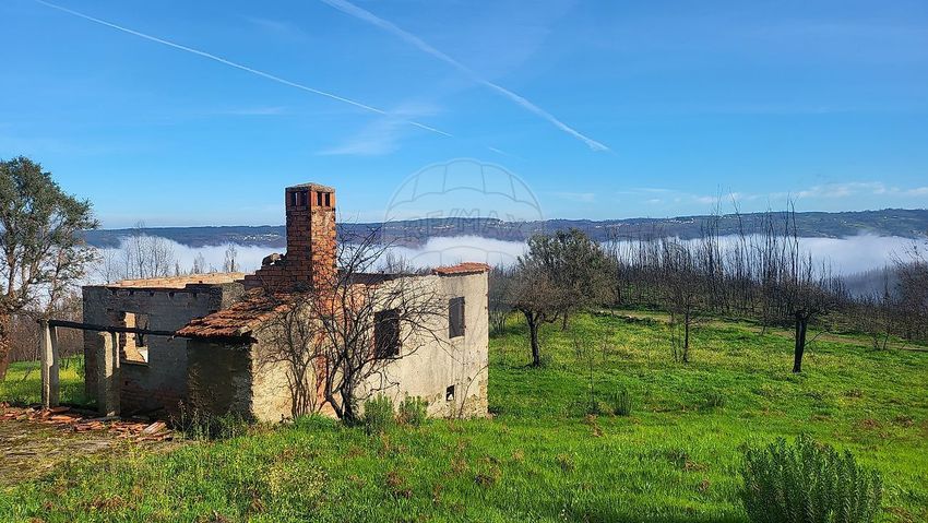 小楼房或独栋别墅出售在Vila Cova de Alva e Anceriz
