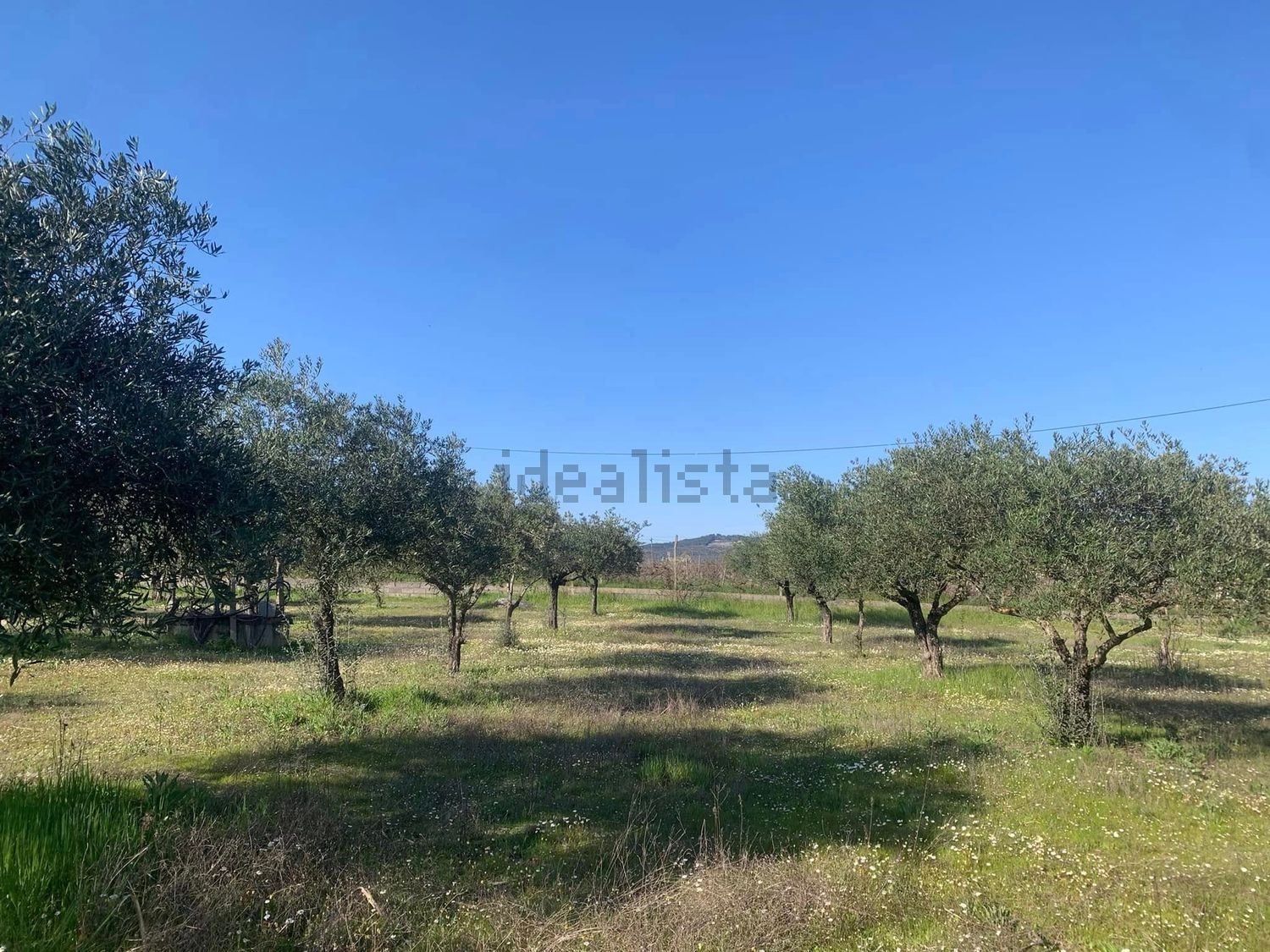 双拼别墅出售Quinta da Areeira, 55 - 花园