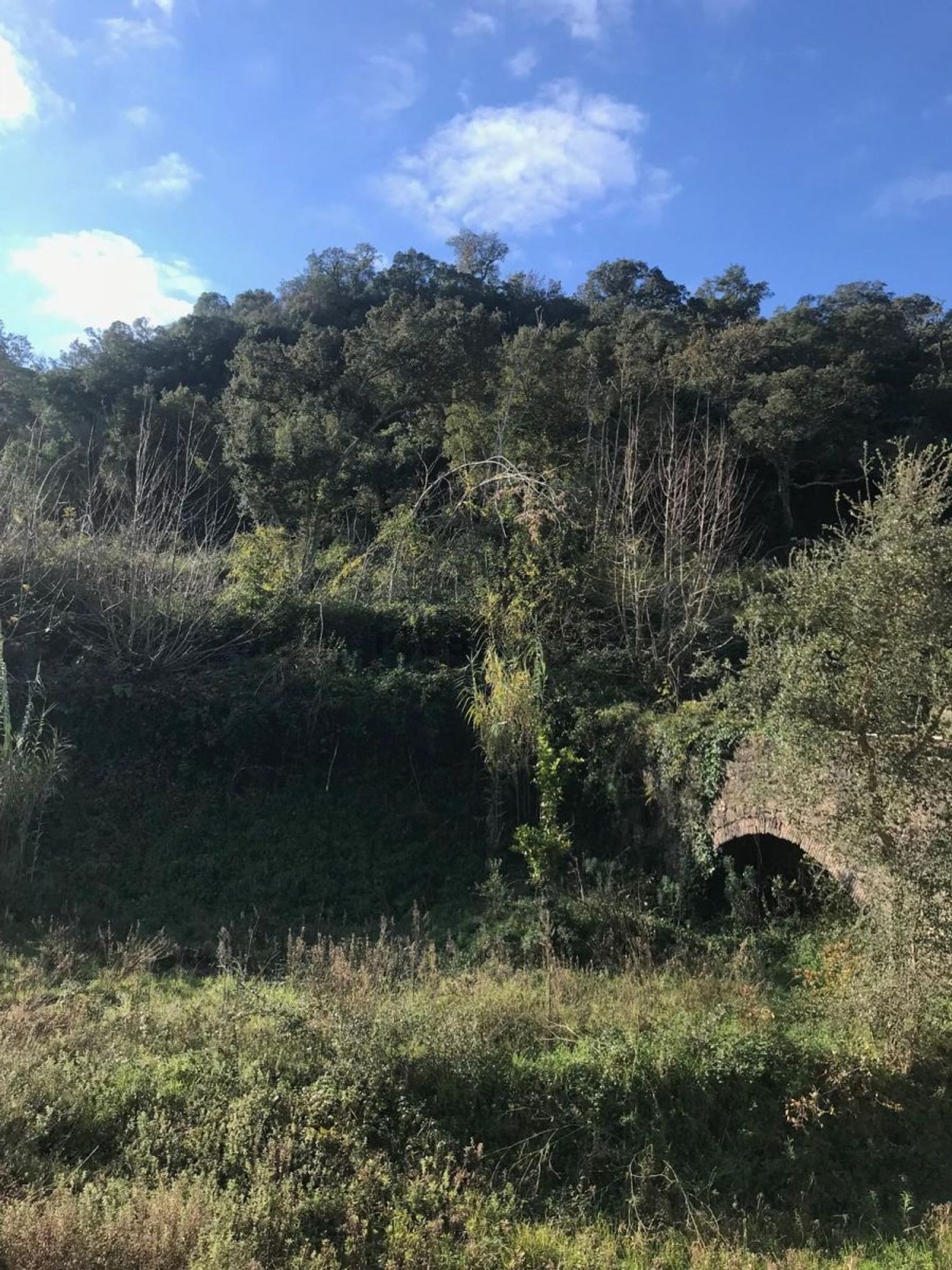 农庄出售在Estrada Sobral Cid - 视线