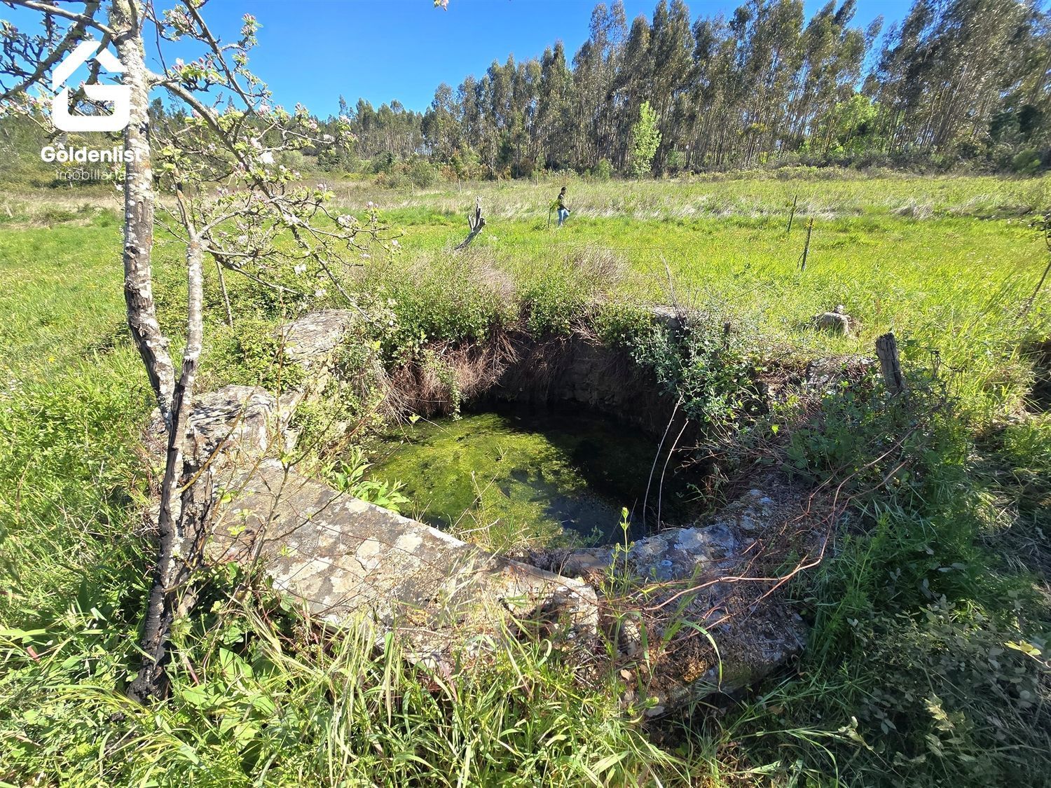 庄园出售在Fratel - 花园
