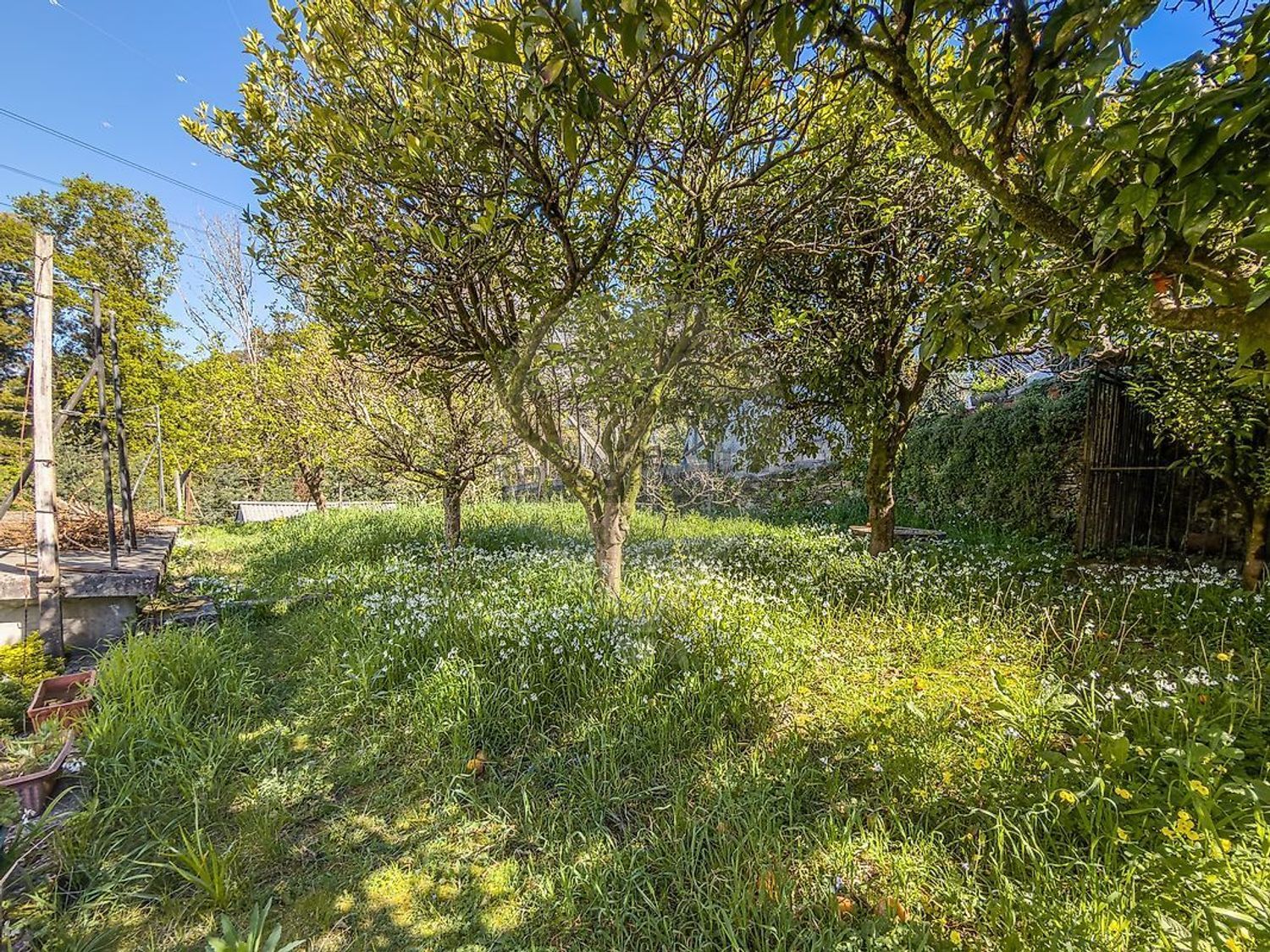 小楼房或独栋别墅出售在Vila de Cucujães - 花园